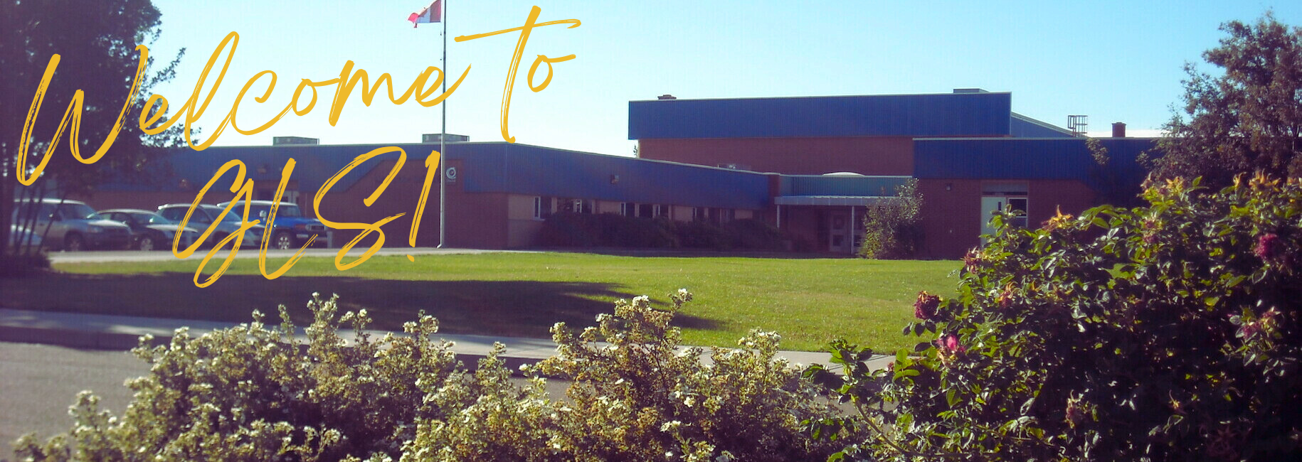 Picture of gull lake school